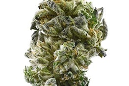 Leela Herb Co | Banana Jella Scotti