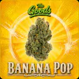 Banana Pop