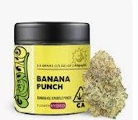 [Greenline] Flower - 3.5G - BANANA PUNCH (H)