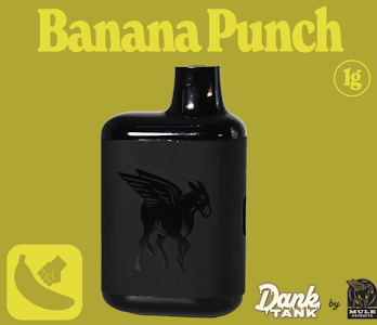 MULE EXTRACTS - Banana Punch, Live Resin, Disposable, 1g