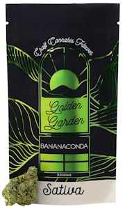 GOLDEN GARDEN - Golden Garden- Bananaconda- 3.5g flower