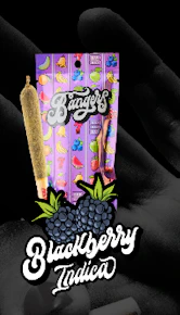 Blackberry 1.2G