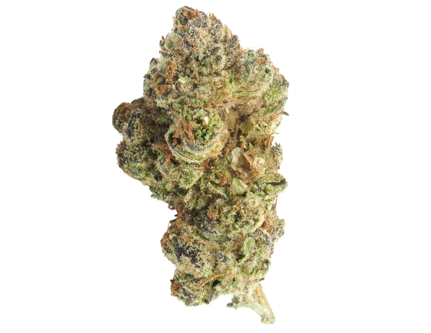 Basic Bud - Basic Bud - 1/2oz Bag - Lemon Cherry Gelato Main Image
