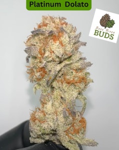 Bass River Buds - Flower | Bass River Buds | Platinum Dolato | 3.5g