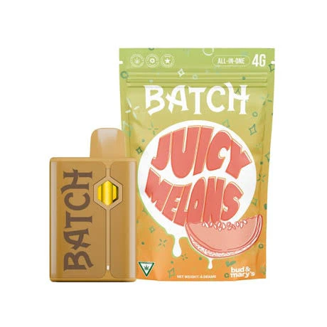 Batch - Batch - Juicy Melons 4g AIO Disposabale Main Image