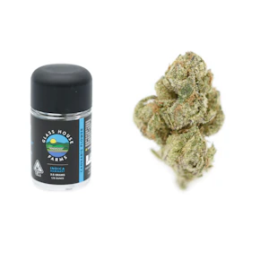 Glass House - 3.5g Runtz (Greenhouse) - Glass House