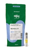Blueberry 2.0 510 .5G