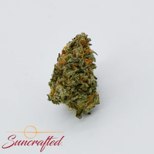 Suncrafted - Value - Grape God Flower - 3.5g - HHG