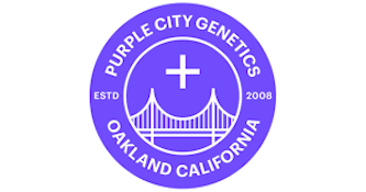 Purple City Genetics Strawberry Streusel x Melonade Non-Feminized Seeds 10pk ND