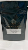 Grease Gun 5pk Seeds - Atlas Seeds