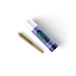 KIND TREE - Kind Tree-Sunset Octane Diamond Infused-2pk/1g