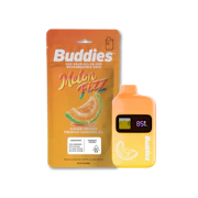 BBrand - 1g AIO - Melon Fizz 