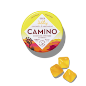 Camino - Pineapple Habanero Gummies 100mg