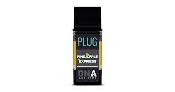 PLUGplay - Pineapple Express Pod - 1g