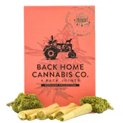Back Home Cannabis | Preroll | Trainwreck | 6pk 3g