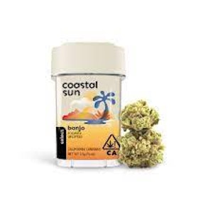 COASTAL SUN - Coastal Sun Greenhouse Flower 3.5g - Banjo 28-29%
