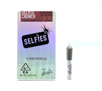 SELFIES - 3g - 12ct Infused Minis Pre Rolls - Gelato Crunch 