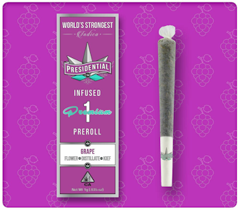 PRESIDENTIAL - Presidential - Grape Preroll 1g
