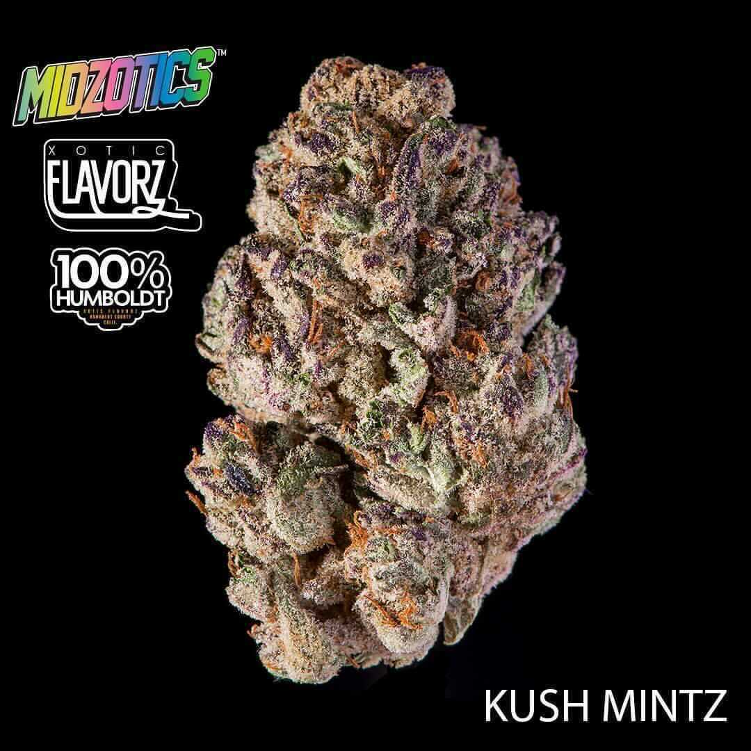 Kush Berry Pre-Ground (Eighth) - Buzz Marijuana Delivery SF