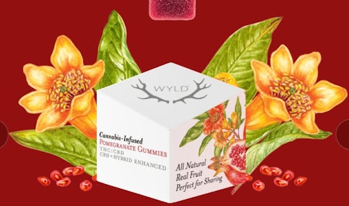 WYLD - [WYLD] THC Gummies - 100mg - THC:CBD 1:1 Pomegranate (H)