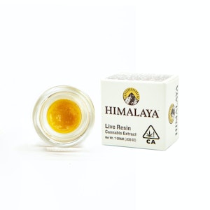 HIMALAYA - Himalaya 1g Blue Dream Live Resin Sugar