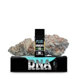 Plug N Play 1g Syndicate OG DNA