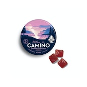 Wild Berry | Camino Gummies 100mg (I) | Camino
