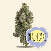 3.5g Beach Cake - Hybrid