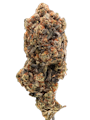 True Genetics | Beaver Cookies | 3.5g