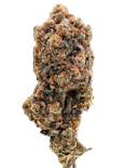 True Genetics | Beaver Cookies | 3.5g