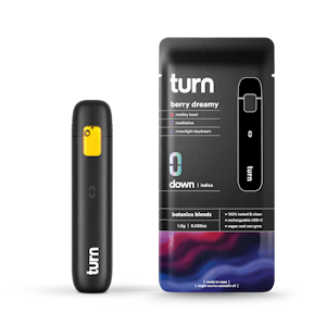 turn - Berry Dreamy - 1g Botanica Blends AIO Disposable
