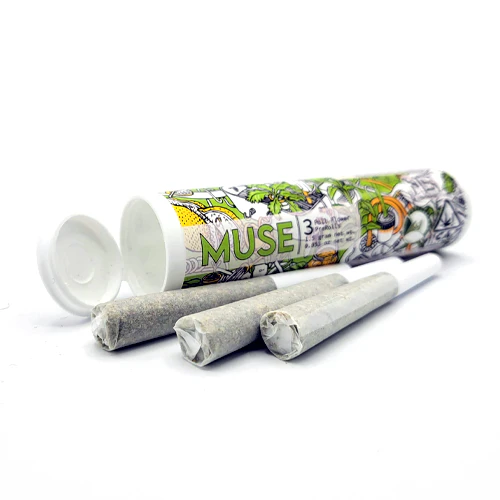 Dolo Rolling Co. - Muse - IB1 (Indica Blend #1) 3 Pack Preroll (1.5g) Main Image