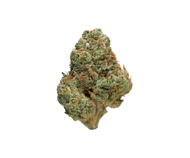 Medcare Farms - MedCare Farms - Guava - 3.5g Flower Main Image
