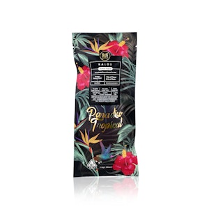 MAVEN - MAVEN - Infused Preroll - Paradiso Tropical - Halo - 1.9G