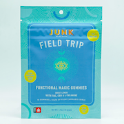 Junk Field Trip 1:1 Gummy 10pk 100mg