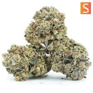 CALYXEUM - Calyxeum | Biscotti Cake 