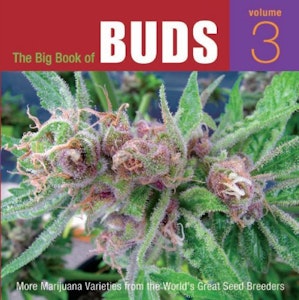 Amanda & Courtney CC - The Big Book of Buds volume 3