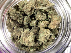 Truforia - Big Mac (I)