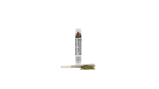 Bigfoot Cannabis Co -1g PreRoll - Government Oasis