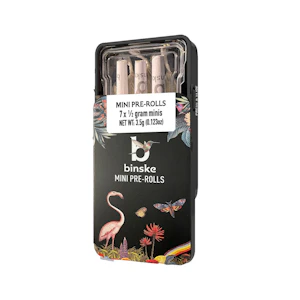 binske - Simple Syrup | Preroll | 0.5g x 7pk | binske