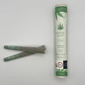 Royal Leaf – Biscotti 41 – 23.40% THC - 2pk x .5g - Pre-roll