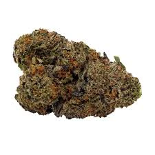 Fresh Canna - Buds- Biscotti Main Image