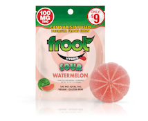 FROOT | WATERMELON BITE | EDIBLE | 100MG