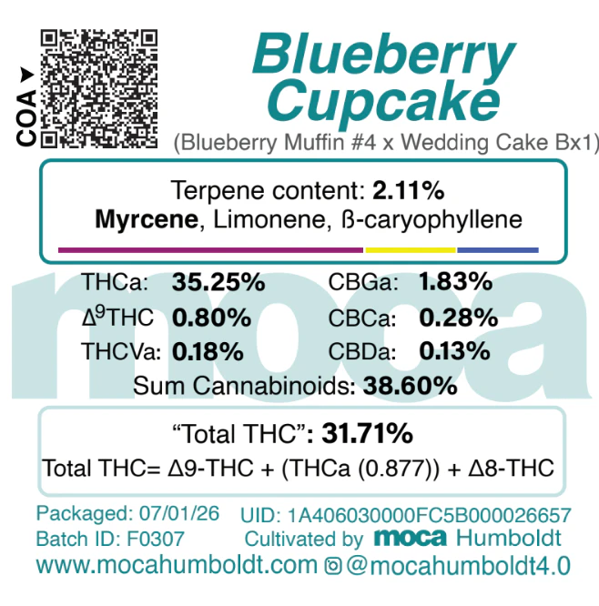 MOCA Flowers - MOCA Flowers - 1/8th Jar - Blueberry Cupcake Main Image