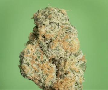 THERAPLANT - Black Ch GMO 4283