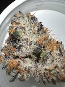 Bulk Flower | Freedom Green Farms | Black Cherry Ghost
