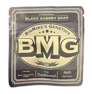 Weed Growers From Seed To Stone DBA Matawana - BMG: Black Cherry Soap Feminized Seeds (1)