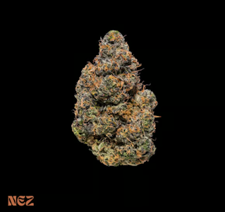 NEZ - Black Maple #2 Premium Flower - 7g