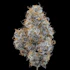Product Preview Image 1