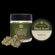 Black Scotti 7g Flower - Indica | Florist Farms